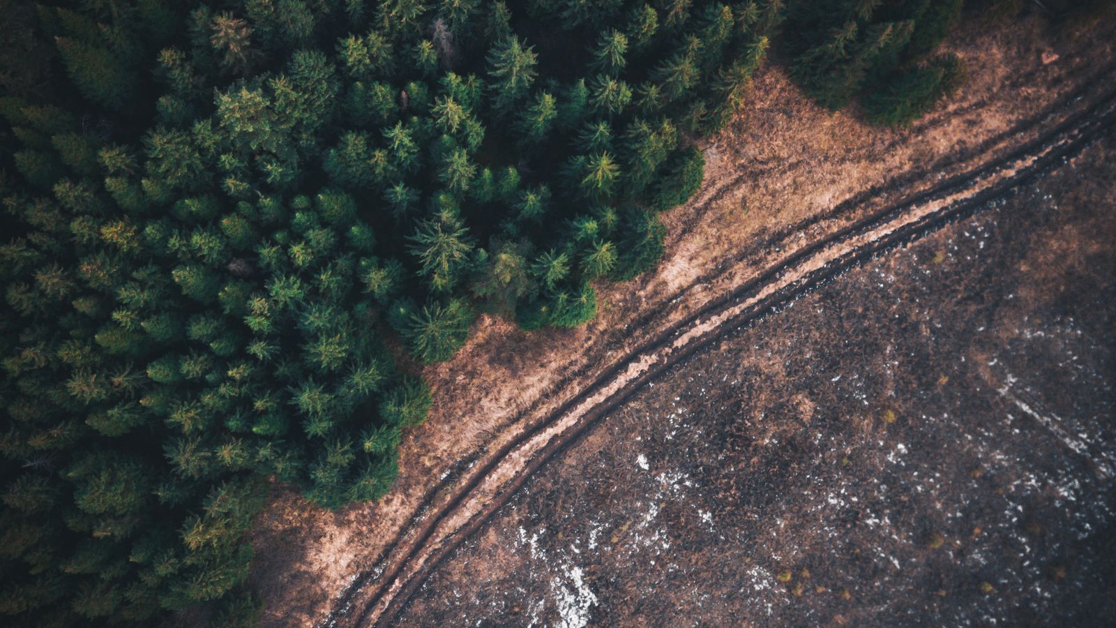 Vue aérienne d'une forêt saine contrastant avec un terrain calciné et couvert de cendres.