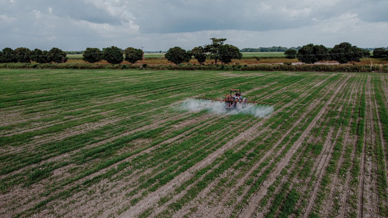 Un tracteur pulvérise un produit phytosanitaire sur un champ, vu depuis les airs.